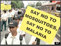 Ngày muỗi thế giới (20/8/2014)