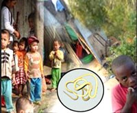 Liên quan giữa nhiễm bệnh giun truyền qua đất với thiếu máu trên phụ nữ mang thai qua các dẫn liệu nghiên cứu của WHO