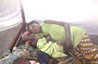 Nghiên cứu: gót chân A-sin của ký sinh trùng sốt rét