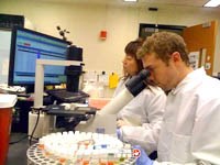 CDC sa thải hàng loạt nhân viên liên quan đến sự cố an toàn sinh học ở Hoa Kỳ