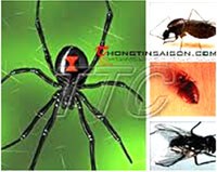 Thông tin cập nhật thú vị về thế giới bí ẩn của côn trùng