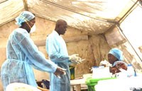 Dịch Ebola tiếp tục bao phủ nỗi kinh hoàng ở Tây Phi và WHO ứng phó khẩn cấp với EVD 