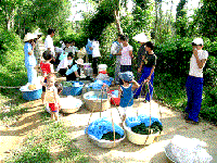 6 tháng đầu năm 2014: sốt rét cả nước giảm mạnh nhưng nguy cơ sốt rét vẫn cao ở miền Trung-Tây nguyên và Bình Phước