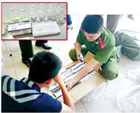 Thông tin tổng hợp về chất lượng thuốc và thuốc giả 