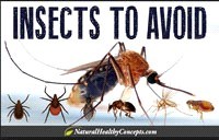 Chiến lược kiểm soát sốt xuất huyết và sốt rét làm tăng nguy cơ với virus Tây sông Nile 