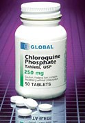 Thuốc sốt rét chloroquine ức chế sự phát triển khối u và sự di căn