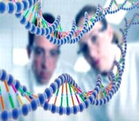 Các nghiên cứu về tính toán và hợp tác dẫn đến tiến bộ đáng kể về bệnh sốt rét