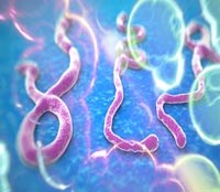 Thông tin cập nhật về dịch tễ học bệnh do virus Ebola tại Tây Phi