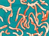 Điểm tin y tế từ các báo ngày 21/8 và 22/8 năm 2014