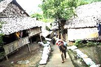 Khởi nguồn sốt rét kháng thuốc Artemisinine ở Tiểu vùng sông Mekong 