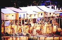 WHO kêu gọi cần có hành động mạnh mẽ hơn về các nguy cơ sức khỏe liên quan đến khí hậu 