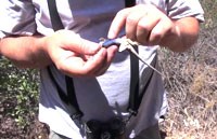 Chương trình bảo tồn Mỹ dạy thanh thiếu niên về thiên nhiên