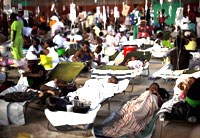 WHO lo ngại dịch bệnh Ebola có thể gây nhiễm cho 20.000 người