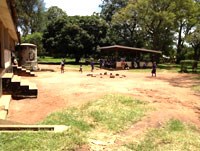 Triệu chứng sốt rét mờ dần khi tái nhiễm do mất các tế bào miễn dịch