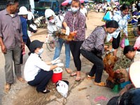 Thông tin cập nhật về nhiễm chủng virus cúm A H7N9 ở người 