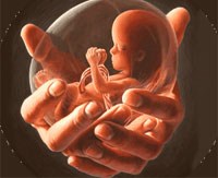 Các nhà hoạt động thúc đẩy việc nới lỏng hơn luật nạo phá thai ở Senegal