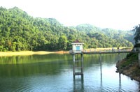 Thay đổi mực nước là một biện pháp phòng chống muỗi đốt