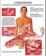 Giải đáp bạn đọc về các kiến thức chuyên ngành ký sinh trùng và côn trùng truyền bệnh tháng 9 năm 2014 (Phần 1)