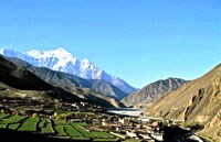 Sốt xuất huyết, sốt rét ở dãy Himalaya