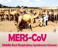 Choáng váng vì Ebola, WHO cảnh báo nguy cơ nhiễm MERS với châu Phi 