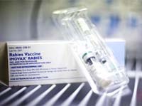 Phòng bệnh dại trước và sau phơi nhiễm mầm bệnh