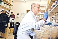 Nghiên cứu về những câu hỏi đơn thuốc gây kháng thuốc