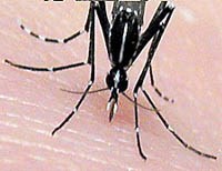 Các nhà khoa học Trung Quốc thử nghiệm loại virus có thể diệt ung thư