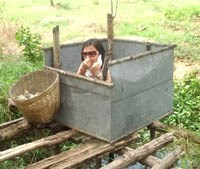 Dịch bệnh từ  cầu tõm 