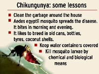 Cập nhật thông tin của WHO về Chikungunya-bệnh do vector truyền trên thế giới