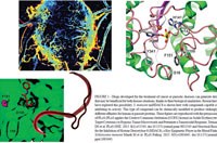 Nhiễm ký sinh trùng và ung thư: tính tương đồng và cơ hội phát triển các công cụ phòng chống mới