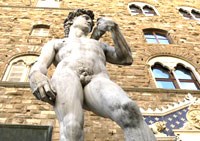 Tinh hoàn ‘mô của con người khác biệt nhất’