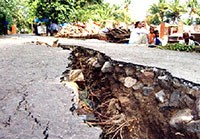 Cần tổ chức tốt công tác phòng chống thảm họa động đất