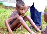 Thế giới cam kết chống suy dinh dưỡng qua các chính sách và hành động bền vững