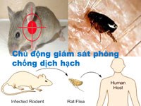 Hiểu biết về bệnh dịch hạch