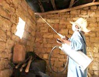 Kết hợp phun thuốc trừ sâu và ngủ màn tẩm hóa chất  không có hiệu quả hơn  trong việc cắt giảm sốt rét