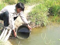 Thông tin mới về bệnh Legionnaires