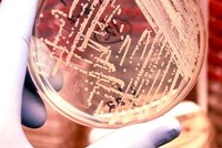 Thuốc kháng sinh: khám phá của Hoa Kỳ là “bước đột phá” cho y học