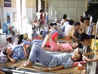 Điểm tin y tế từ các báo ngày 21/1 và 22/1 năm 2015