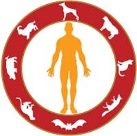 Bệnh ký sinh trùng lây truyền từ động vật sang người (Parasitic zoonoses)- những hiểu biết cần thiết cho thầy thuốc và cộng đồng