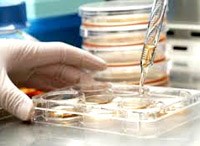 Phát hiện ra sốt rét kháng thuốc dựa vào di truyền học 