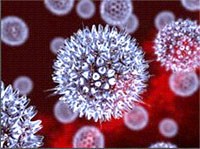 Nghiên cứu và nỗ lực nhiều hơn để ngăn chặn sự lây lan của virus herpes simples