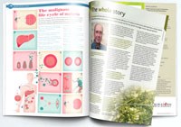 Tuyển tập các tài liệu và hướng dẫn thực hành phòng chống sốt rét của WHO