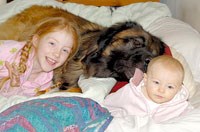 10 biện pháp ưu tiên hàng đầu làm giảm các bệnh lây truyền từ động vật sang người