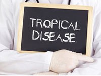 Cập nhật một số ấn phẩm nghiên cứu về bệnh nhiệt đới