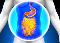 Lợi khuẩn hay chất cận sinh (Probiotic) và vai trò của nó với sức khỏe con người 