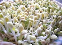 Điểm tin y tế từ các báo ngày 14/4 và 15/4 năm 2015