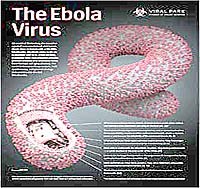 Dịch bệnh Ebola-Thông tin cập nhật và những điều cần biết sau đại dịch