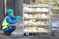 Thông tin cập nhật về một số dịch bệnh nguy hiểm trên thế giới