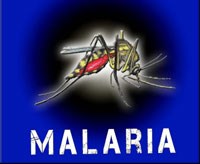Thông tin cập nhật về các công trình nghiên cứu sốt rét trên thế giới tháng 5 năm 2015