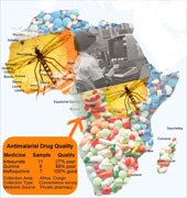 Tình hình sốt rét thế giới: Cập nhật Báo cáo sốt rét toàn cầu của WHO